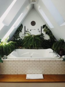 jacuzzi surrounded by plants